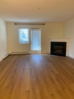 Spacious 1 Bedroom Main Floor Unit at Aurora at Chinook – Kingsland - Photo 1