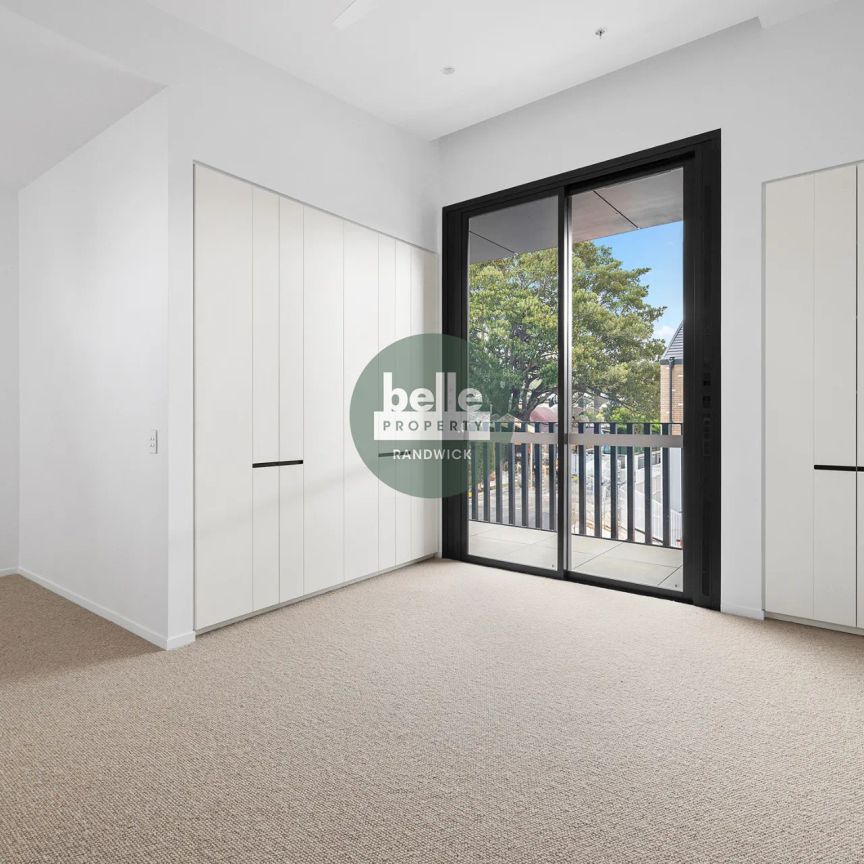 Another Successful Result By David Ibanez! - Photo 1