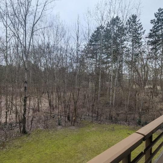 2 ZKB mit großem Balkon am Waldrand - Foto 1