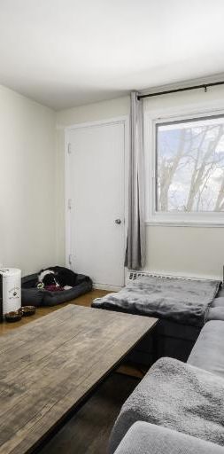 Appartement 3 ½ à louer Sainte-Foy / Sillery novembre 2025 - Photo 1