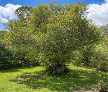 2-Bedroom Home in Peaceful Scenic Setting - Photo 3