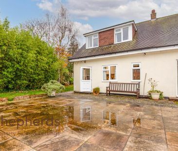 1 bedroom house to rent - Photo 5