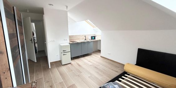 Location Appartement 1 pièce 15m² FAMARS 59300 - Photo 3