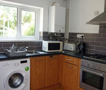 Double Room, Victoria Terrace, Brynmill *Students & Professionals* - Photo 2
