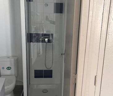 Location Appartement 1 pièce 17m² ANGOULEME 16000 - Photo 3