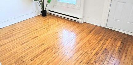 1 CH - 1 SDB - Montréal - $1,250 /mo - Photo 2