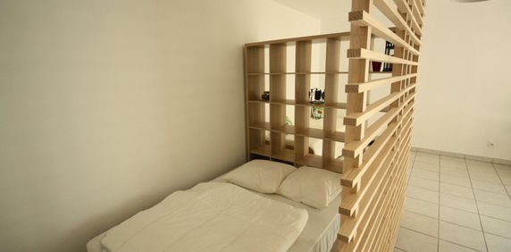 Location Appartement 1 pièce 39m² VILLEURBANNE 69100 - Photo 2