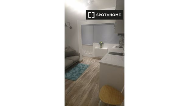 Studio for rent in Dublin - Photo 1
