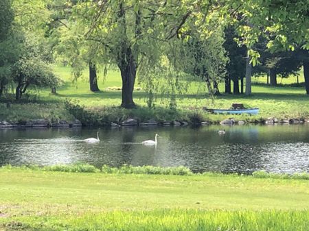 For Lease - 3177 Shelter Valley Road, Alnwick/Haldimand, Ontario - Photo 2