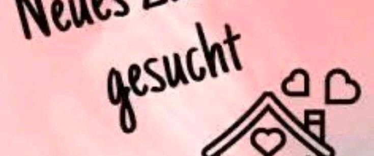 Suche Wohnung in Plettenberg - Photo 1