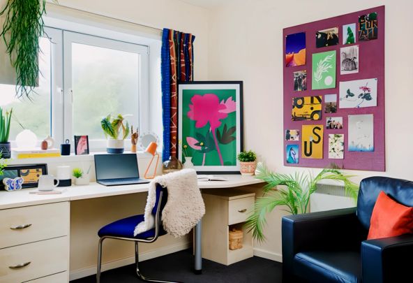 Extra Large Studio - Photo 1