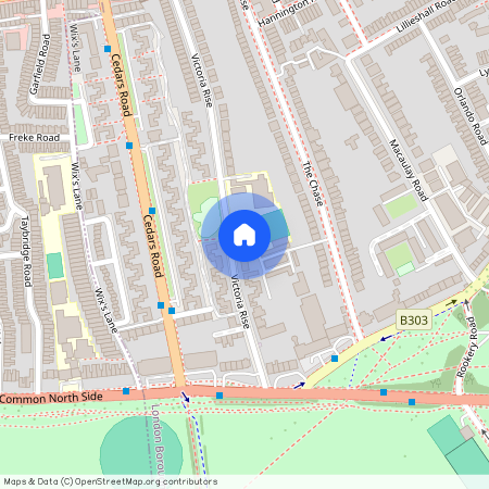 Victoria Rise, London, SW4