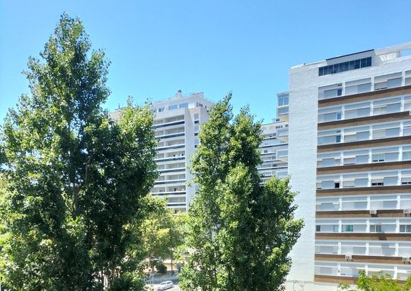 Quarto solteiro em Lisboa a estudante