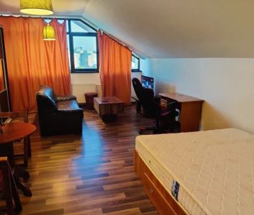 Apartament 1 camera CENTRU/COPOU -350 EURO - Photo 4