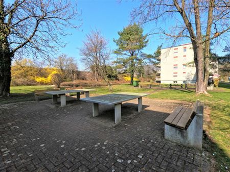 Schöne 3.5 Zimmer Wohnung in beliebtem Quartier nähe Waldrand und dennoch zentral! - Photo 2