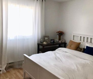 Québec, secteur Beauport, 4 1/2 frais peint, rénové - Photo 4