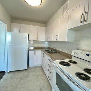 LARGE 1-Bedroom Apartment, Available NOW!!! - Photo 4