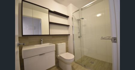 Spacious Living, Gourmet Kitchen AND Roof Deck entertainment area - Photo 2