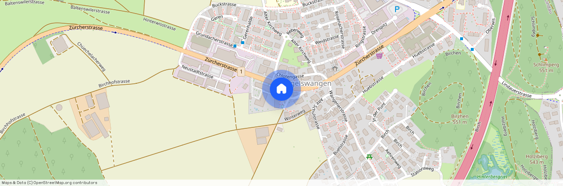 8317, Tagelswangen, Hofwisenstrasse, 2