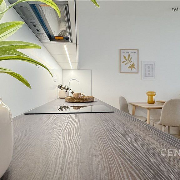 Pronájem bytu 1+kk 46 m² - Fotografie 1