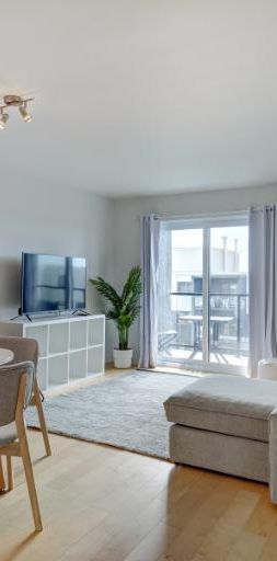 Appartement 3 ½ à louer Sainte-Foy / Sillery juillet 2026 - Photo 1