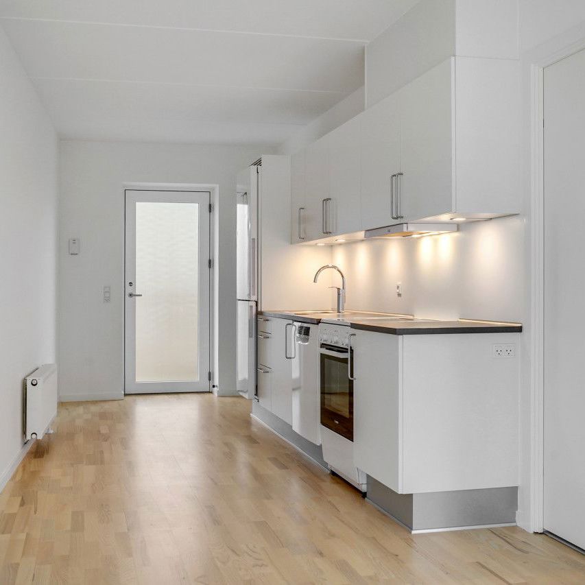 Moderne lejebolig i Odense M med stor tagterrasse -perfekt til den studerende - Photo 1