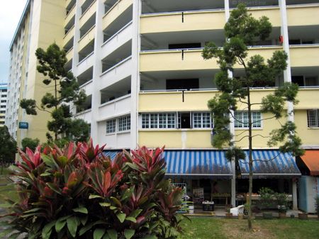 Blk 146 Jalan Bukit Merah (Bukit Merah), HDB 3 Rooms - For Rent - Photo 3