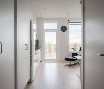 Brunnshögsgatan, Lund - Photo 4