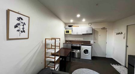 Furnished One bedroom apartment-Vincent Street - Photo 2
