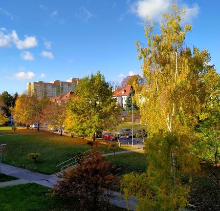 3 ładne, wygodne pokoje blisko centrum - Photo 2