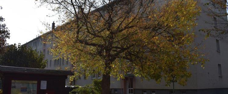 3-Zimmerwohnung mit Balkon - Photo 1