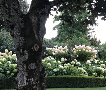 Furnished – 3½ rooms in Vufflens-le-Château - Photo 1