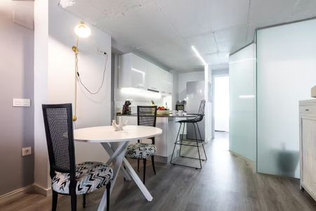 Carrer Botànic, Valencia, Valencian Community 46008 - Photo 2