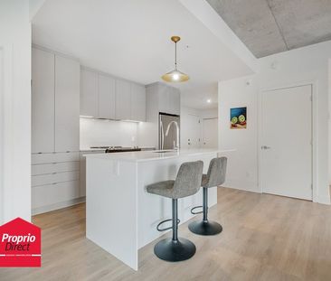 Appartement Mercier/Hochelaga-Maisonneuve (Montréal) À Louer - Photo 3