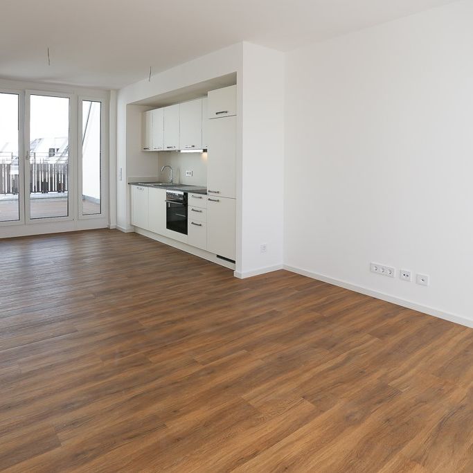 Leben über den Dächern - 2-Zimmer-Dachgeschosswohnung mit großzügiger Terrasse - Foto 1