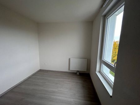 Location appartement 3 pièces 62.65 m² à Haguenau (67500) - Photo 3