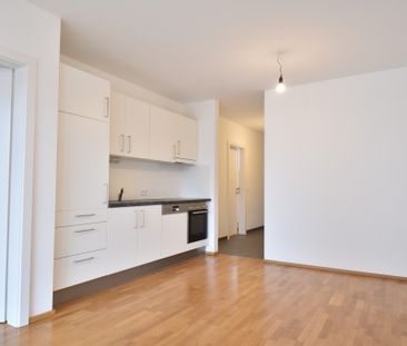 Geidorf – 61m² – 3 Zimmer – Loggia – TOP Ausstattung - Foto 2