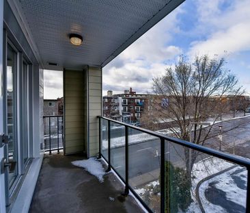 9675 Av. Papineau, Montréal, QC - Photo 5