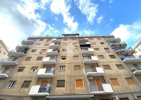 5 locali in affitto