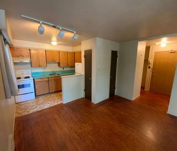 Marpole Studio for Rent !!! - Photo 4