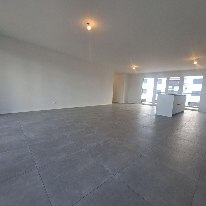 3.5 Zimmer, 88 m², EG - Foto 1