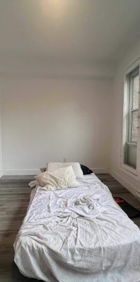 1 CH - 1 SDB - Montréal - $1,250 /mo - Photo 1