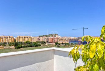 Alicante, Valencian Community 03700