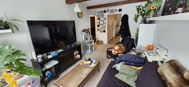 885 Monseigneur-Grandin - Photo 1