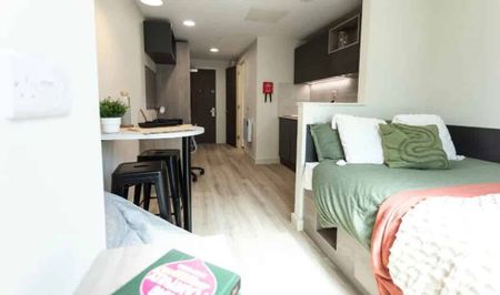 Penthouse Deluxe Studio - Photo 5