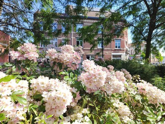 Studio te huur - Photo 1