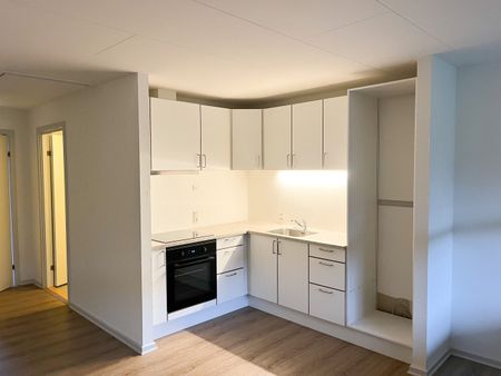 Hyggeligt 1-værelses rækkehus med egen have - Photo 3