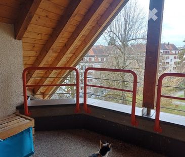 18 m² - Photo 3