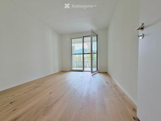 Residenza Verdeblu – 3.5 locali con due terrazze a Locarno - Photo 1