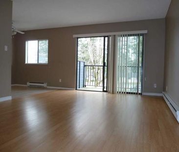 Pinetree Apartments | 2525 & 2585 Hill-Tout Street, Abbotsford - Photo 1